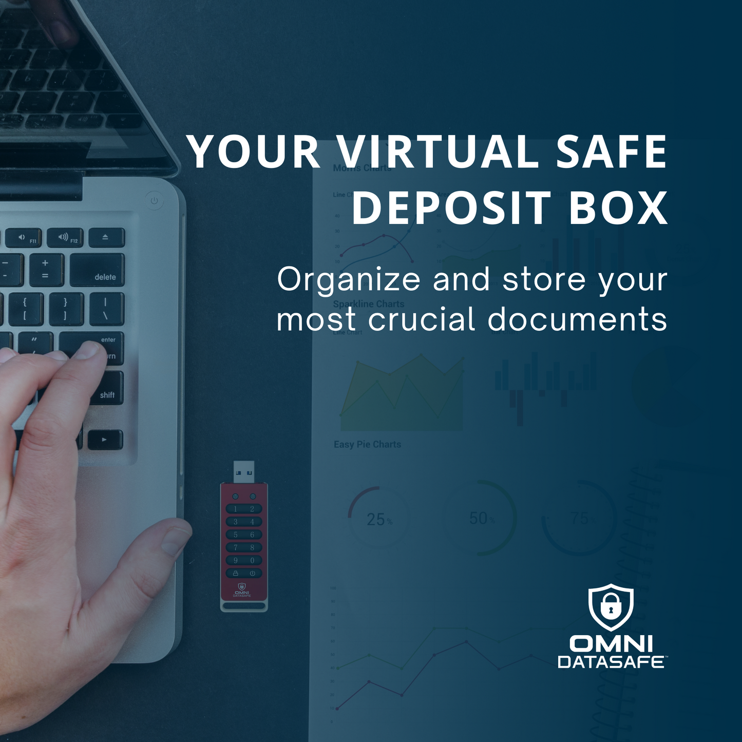 Omni DataSafe - Your Virtual Safe Deposit Box